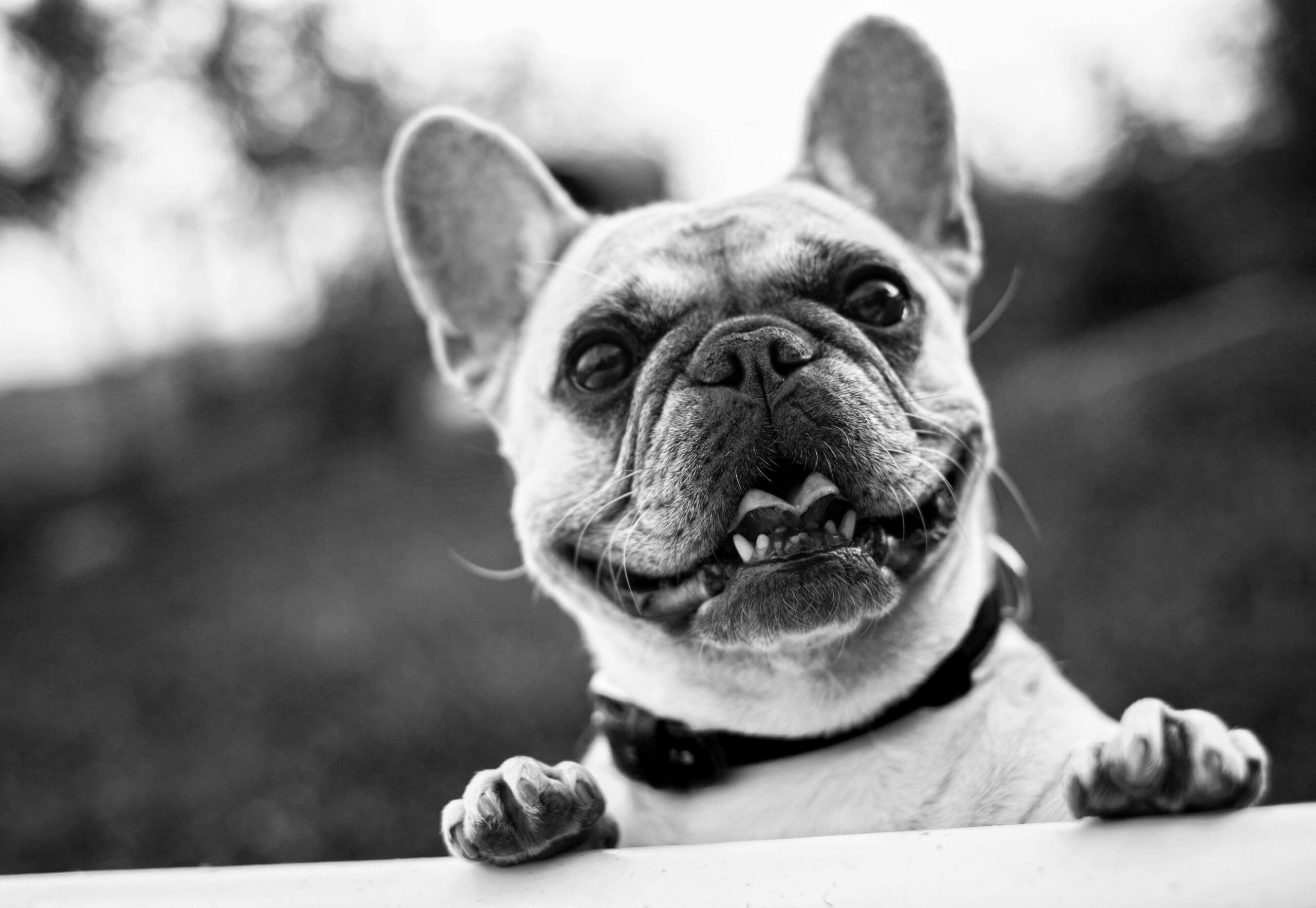 Photography Services in Manchester